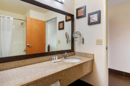 Comfort Suites Stevensville – St. Joseph - image 13