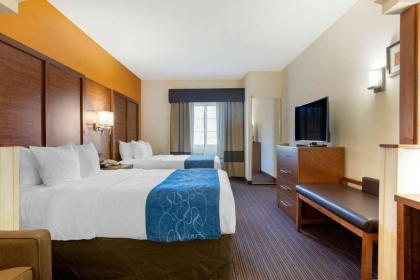 Comfort Suites Stevensville – St. Joseph - image 14