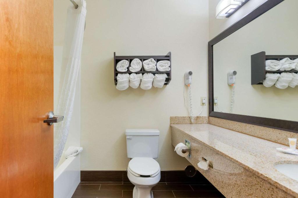 Comfort Suites Stevensville – St. Joseph - image 2