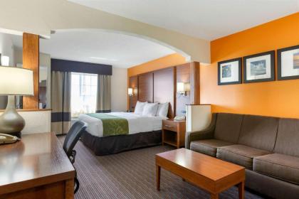 Comfort Suites Stevensville – St. Joseph - image 3