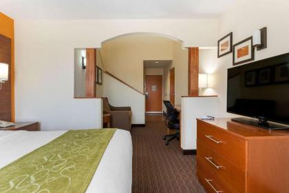 Comfort Suites Stevensville – St. Joseph - image 4
