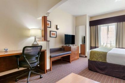 Comfort Suites Stevensville – St. Joseph - image 5