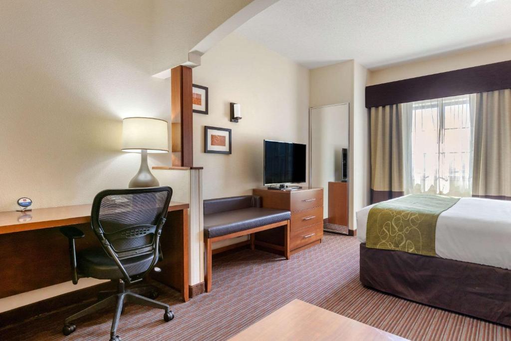 Comfort Suites Stevensville – St. Joseph - image 5