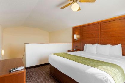 Comfort Suites Stevensville – St. Joseph - image 6