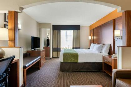 Comfort Suites Stevensville – St. Joseph - image 9