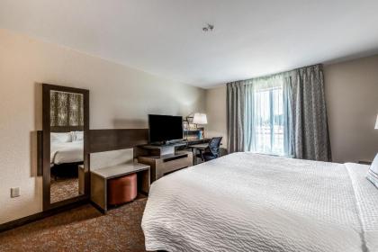 Fairfield Inn & Suites by Marriott St. Joseph Stevensville - image 3