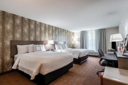 Fairfield Inn & Suites by Marriott St. Joseph Stevensville - image 5