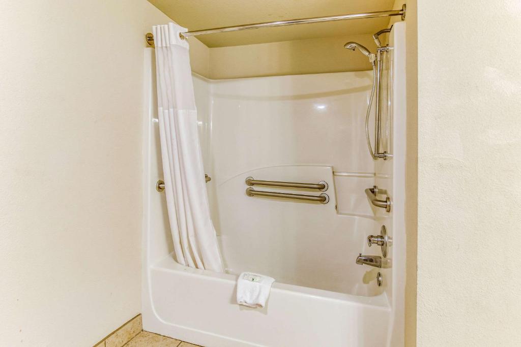Quality Inn Stone Mountain - image 4