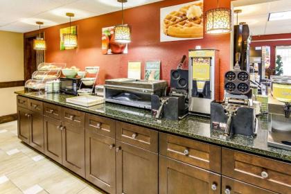 Quality Inn Stone Mountain - image 6