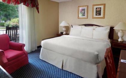 Stone Mountain Inn - image 13