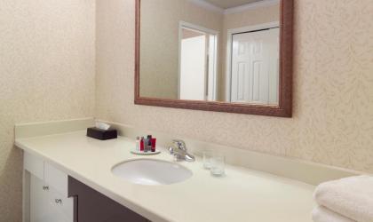 Stone Mountain Inn - image 15
