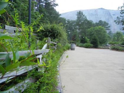 Stone Mountain Inn - image 5