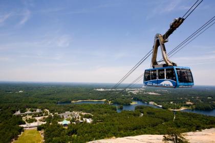 Stone Mountain Inn - image 6