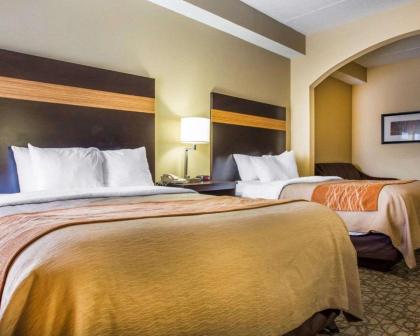 Comfort Inn & Suites at Stone Mountain - image 15