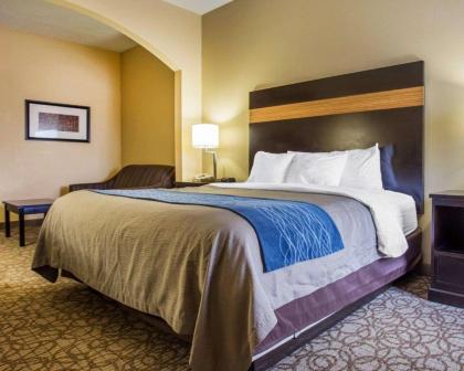 Comfort Inn & Suites at Stone Mountain - image 2