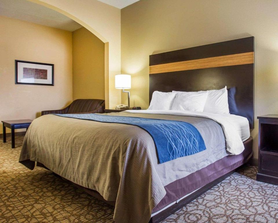 Comfort Inn & Suites at Stone Mountain - image 2