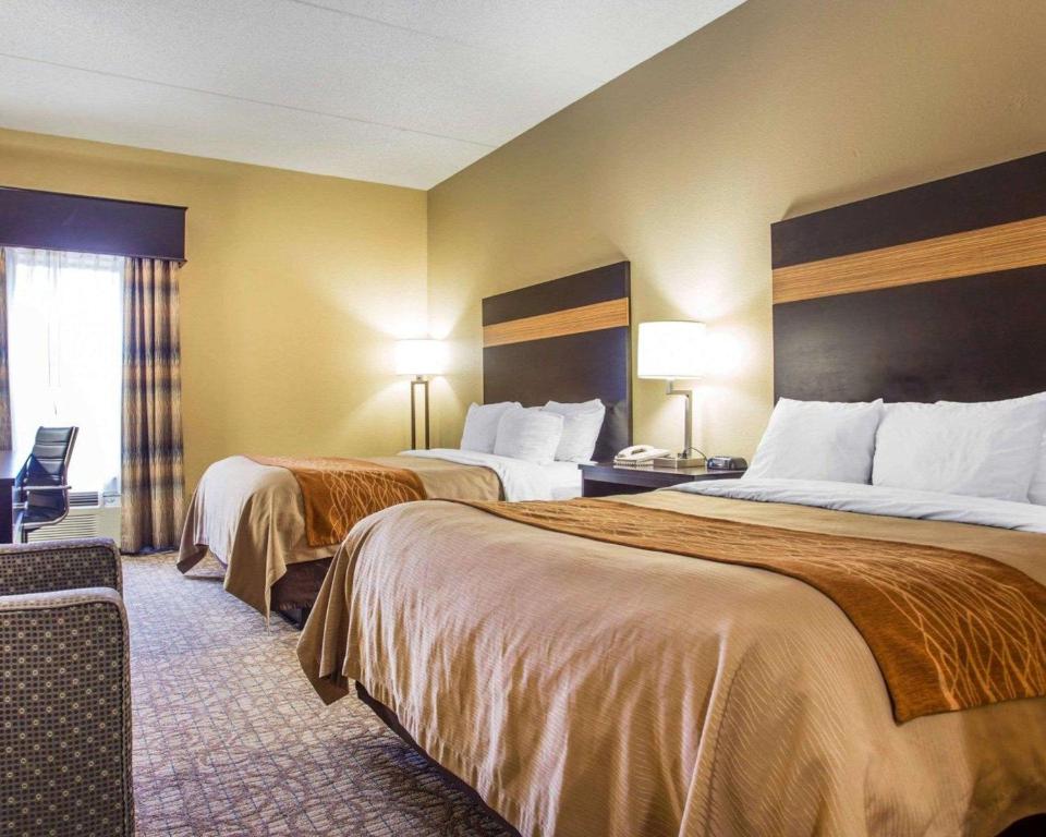 Comfort Inn & Suites at Stone Mountain - image 3