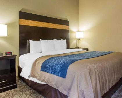 Comfort Inn & Suites at Stone Mountain - image 9