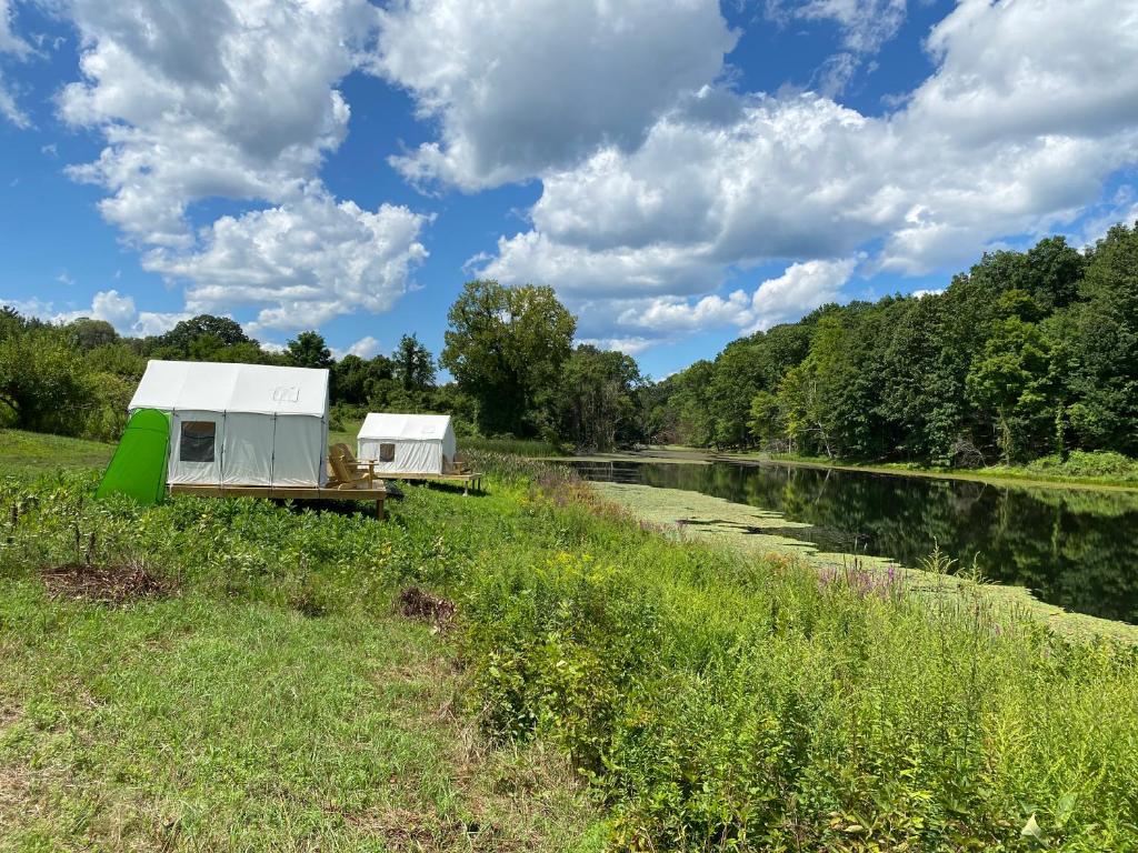 Tentrr Signature - Lakeside Tents in Historic Orchard - image 5