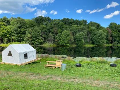 Tentrr Signature - Lakeside Tents in Historic Orchard - image 6