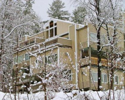 Luxurious Stowe mountain Resort Condominiums Vermont