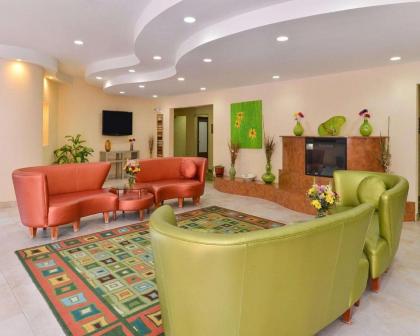 Quality Suites Stratford - image 15