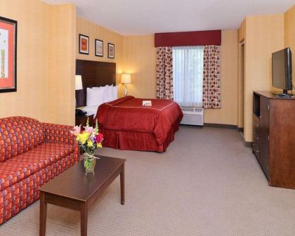 Quality Suites Stratford - image 4