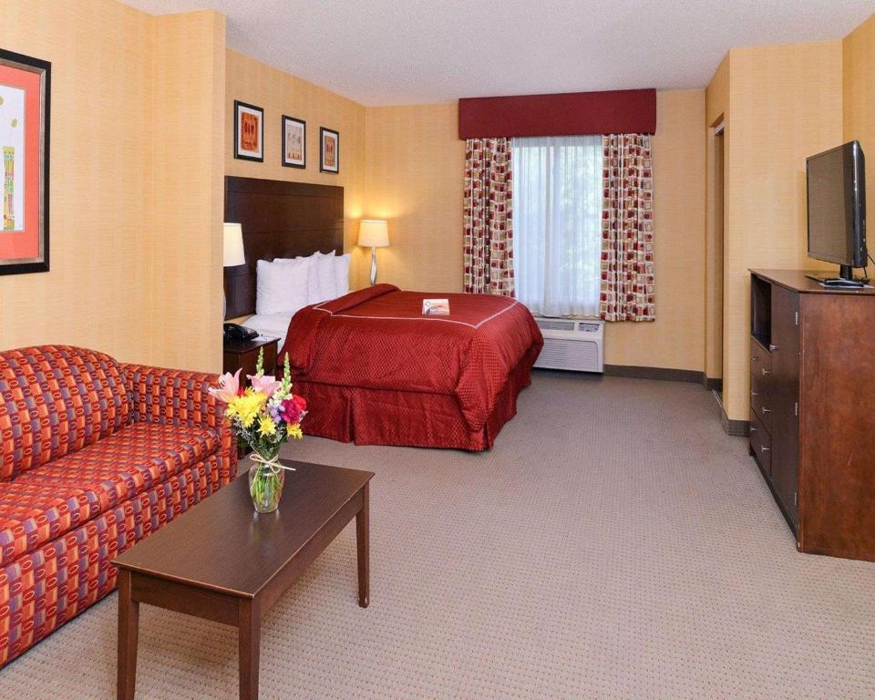 Quality Suites Stratford - image 4
