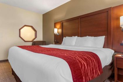 Comfort Inn & Suites Streetsboro - Kent - image 13