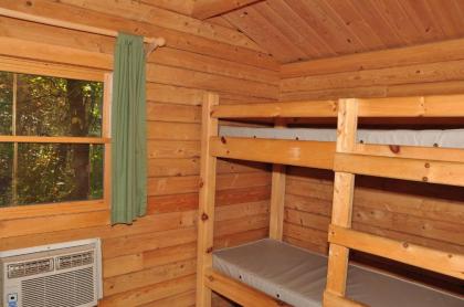Tranquil Timbers Cabin 11 - image 3