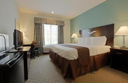 Americas Best Value Inn Sulphur - image 12