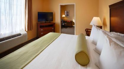 Best Western Plus Executive Hotel & Suites - image 11