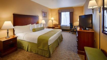 Best Western Plus Executive Hotel & Suites - image 12
