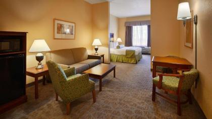Best Western Plus Executive Hotel & Suites - image 6