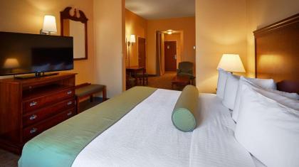 Best Western Plus Executive Hotel & Suites - image 7