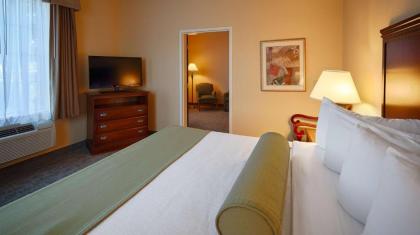 Best Western Plus Executive Hotel & Suites - image 9