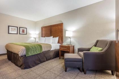 Quality Inn Summerville-Charleston - image 8