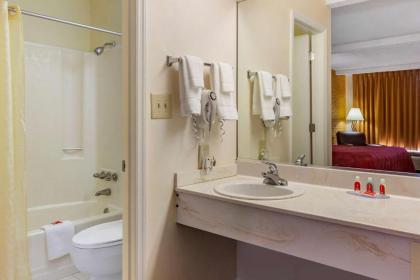 Econo Lodge Summerville - image 15