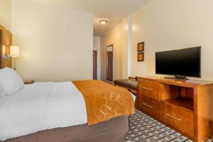 Comfort Inn Summerville – Charleston - image 15
