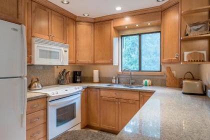 New Listing! Remodeled Condo Across from the Historic Sun Valley Lodge and Ice Rink - image 5
