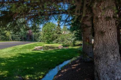 Holiday home near Bald Mountain in Sun Valley - image 16
