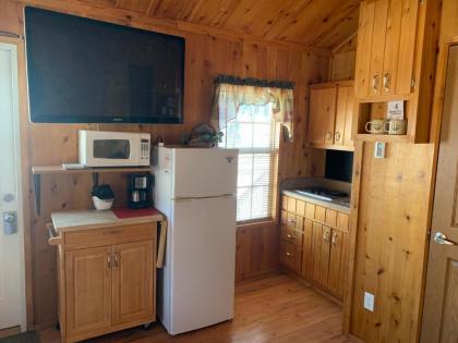 Bearlodge Mountain Resort - image 6