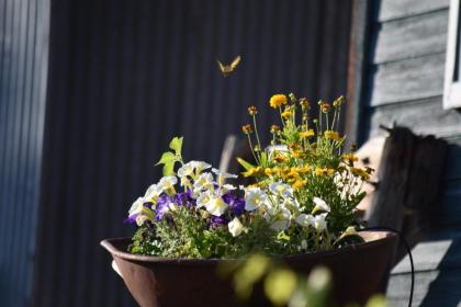 Warm Springs Inn & Winery - image 12