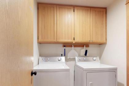 15 Filbert - image 2
