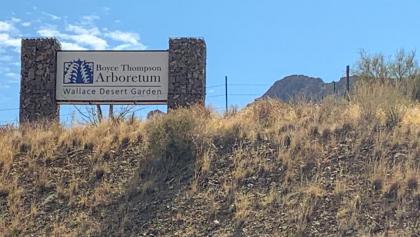 Copper Mountain Motel - image 15