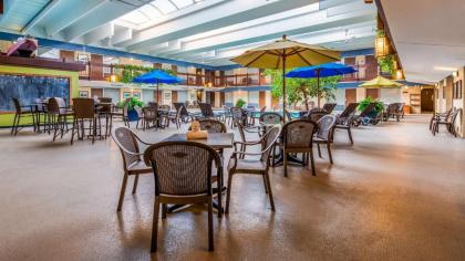 Best Western Bridgeview Hotel - image 10