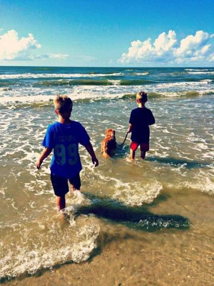 Shimmering Beach and Ocean Views! Welcome to Phoenix Rising! - image 14