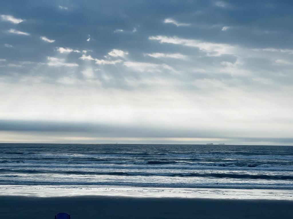 Unobstructed Oceanfront SEA OTTER Unit 4 Beach Pad! - image 2