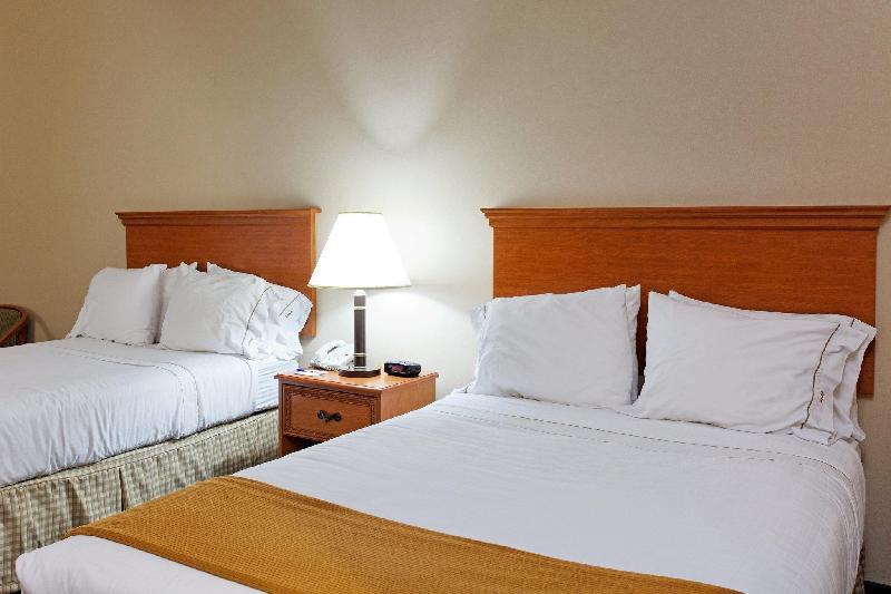 Holiday Inn Express & Suites Sylacauga - image 6