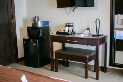 Boarders Inn & Suites by Cobblestone Hotels - Syracuse - image 10